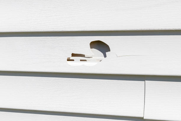 How To Choose The Right Materials for Your Siding Installation in 'Chandler, TX