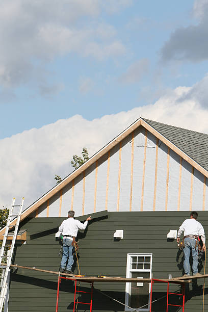 Best Historical Building Siding Restoration  in Chandler, TX