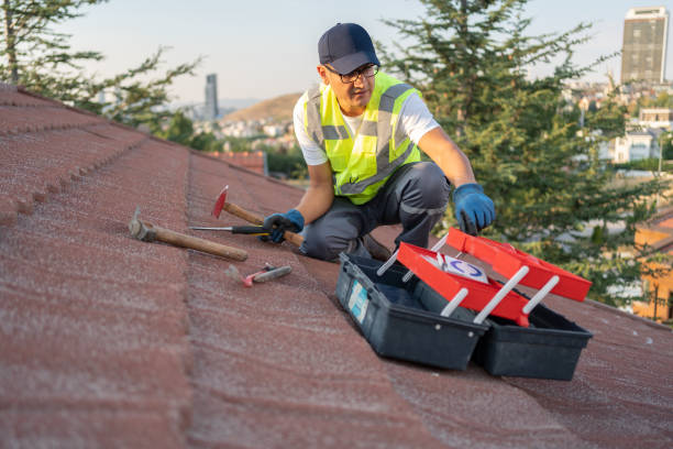 Best Fiber Cement Siding Installation  in Chandler, TX